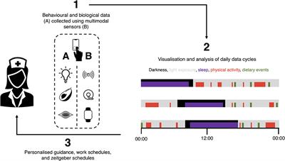 The Future of Shift Work: Circadian Biology Meets Personalised Medicine and Behavioural Science
